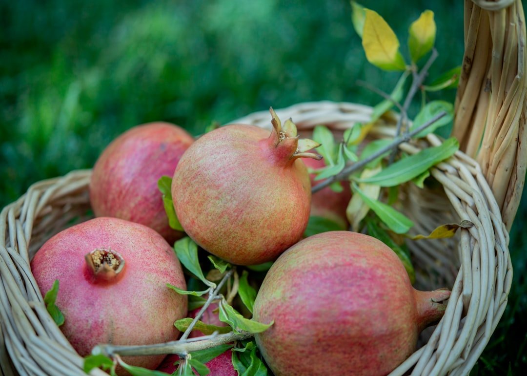 Photo Fruits and vegetables