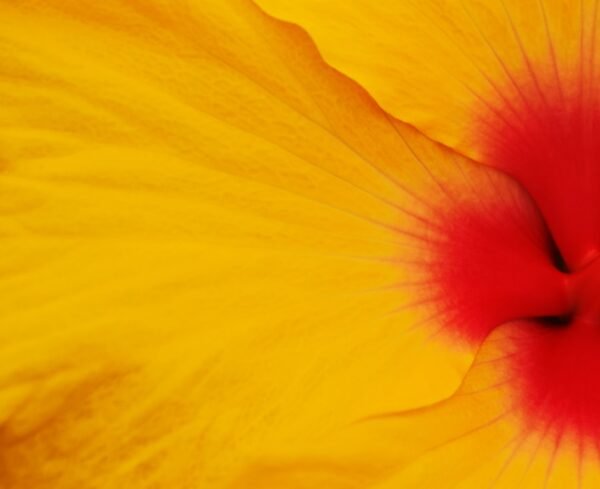 Spring Skin Care: Tips for a Fresh and Glowing Complexion
