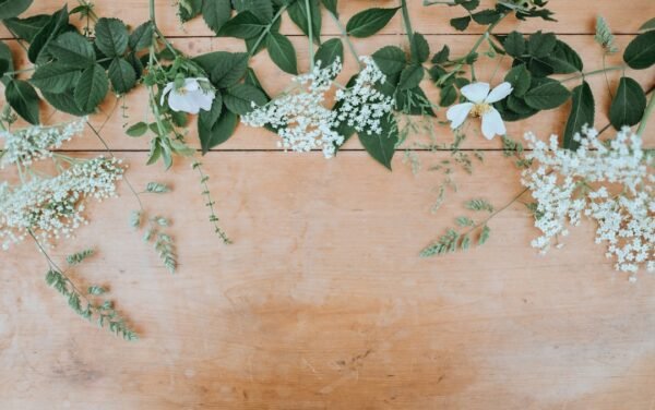 Spring Skin Care: Tips for a Fresh, Glowing Complexion