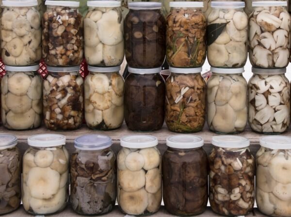 Fermented Ingredients Takeover: Asia’s Answer to Radiant, Resilient Skin