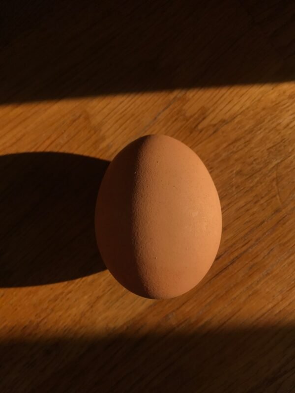 The Rise of ‘Boiled Egg Skin’: Smooth, Luminous Complexions