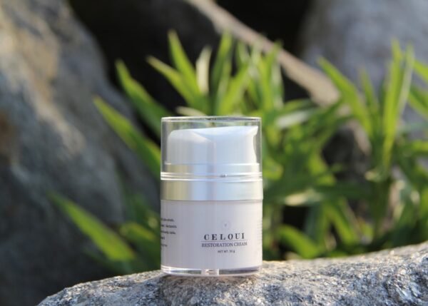 Barrier Repair Revolution: Ceramides and Centella in Asian Skincare