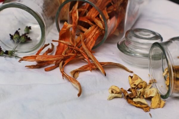 TCM-Inspired Beauty: Ginseng and Goji Berry Infusions
