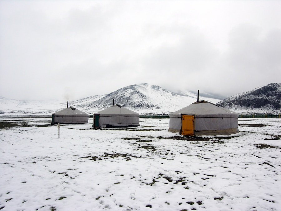 Photo "Mongolia’s Harsh Climate Solutions: Extreme Barrier Protection"