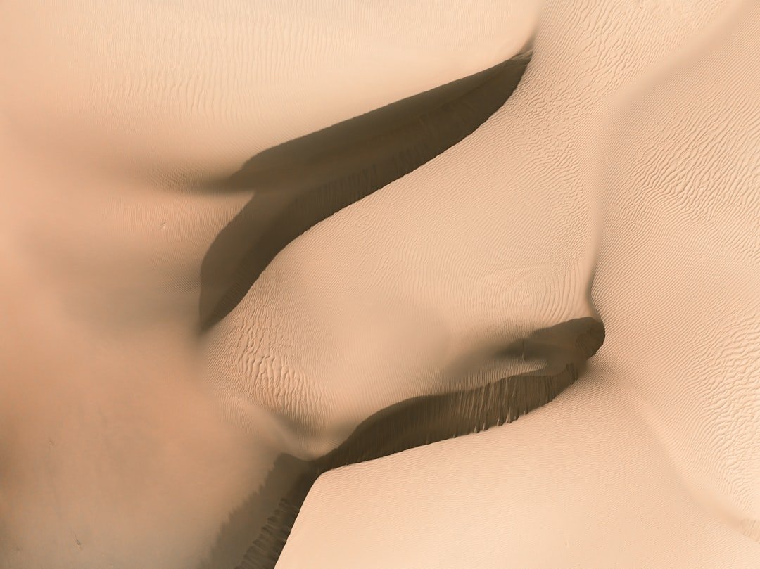 Photo Gentle strokes