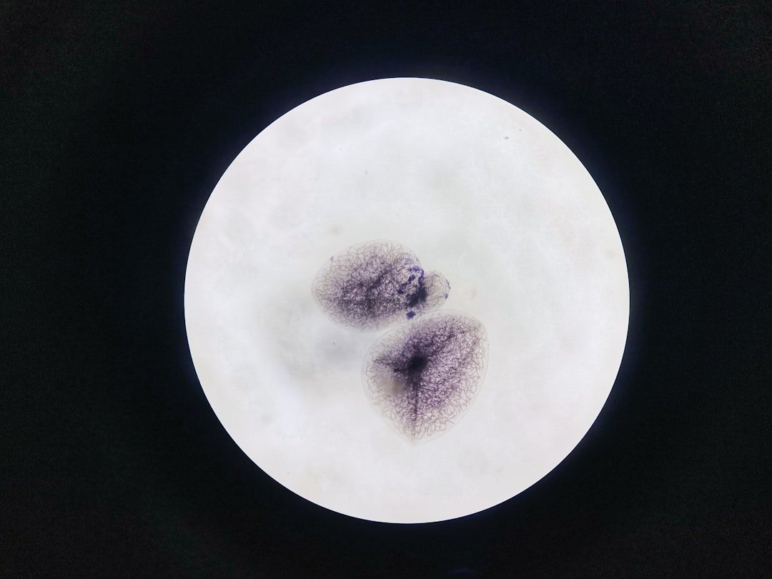 Photo Lab-grown collagen
