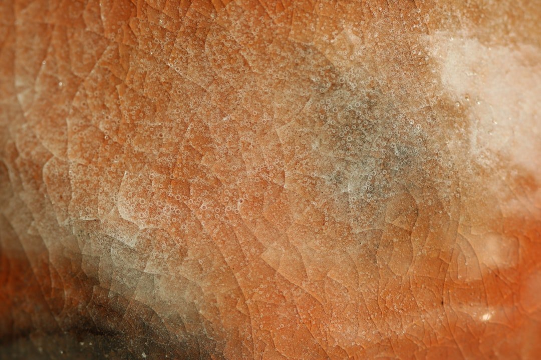 Photo Skin analysis