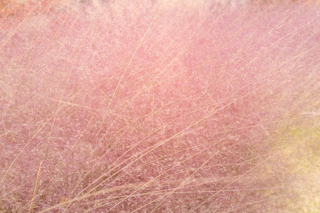 Photo Radiant complexion