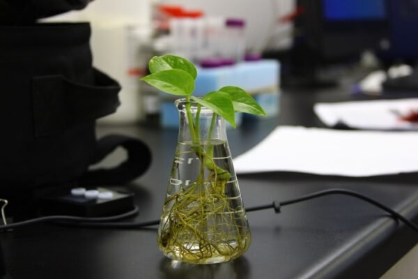 Bio-Tech Beauty: How Lab-Grown Ingredients Are Saving the Planet
