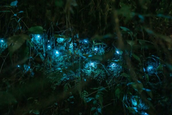 Blue Light Protection: Do You Really Need It for Your Skin?